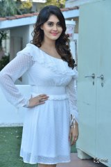 Surbhi at Okka Kshanam Movie Success Celebrations